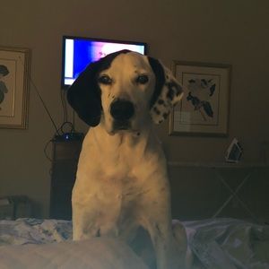 Meet your Posher, Karen